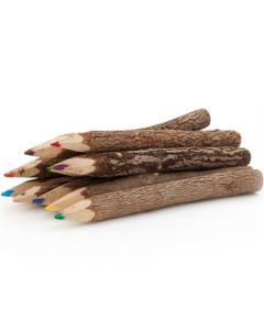 B/10 Twig pencils