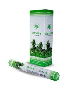 Green Tree Cannabis Wierook