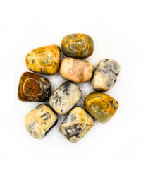 Agate Crazy Lace 'A' Tumbled Stones 200 gr