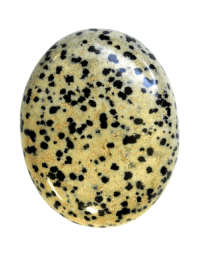 Dalmatische Jaspis Palmsteen