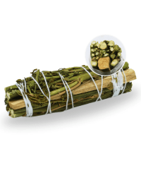 Palo Santo Arruda smudge stick