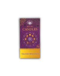 Green Tree Ritual Transformation candles 10 pack