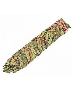 Yerba Santa 22 cm