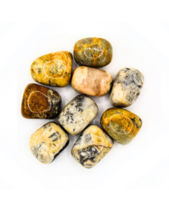 Agate Crazy Lace 'A' Tumbled Stones 200 gr