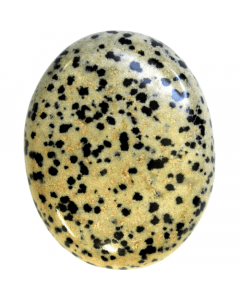 Dalmatische Jaspis Palmsteen