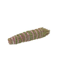 Jeneverbes 10 cm