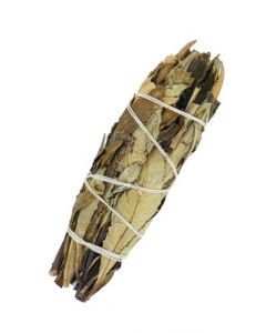 Yerba Santa Smudge Stick 10cm met kop